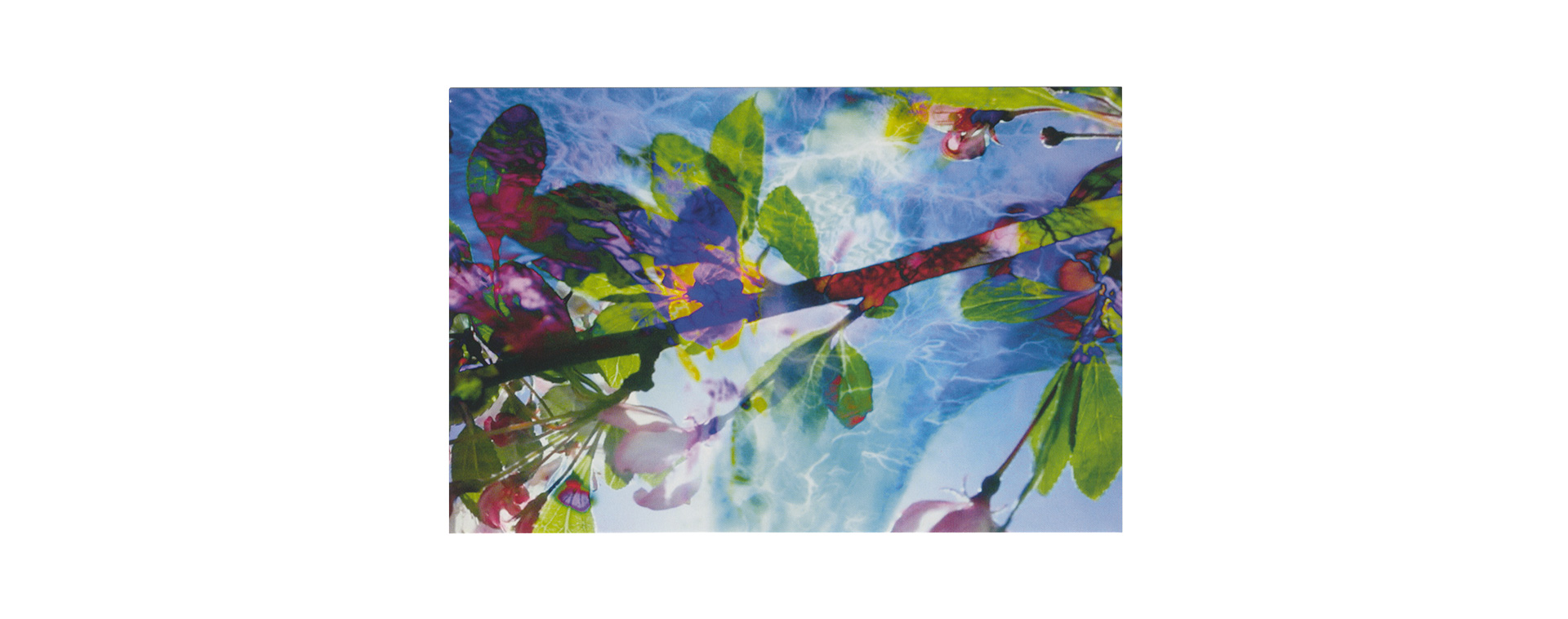 Pipilotti Rist &ndash; Du wirst sorglos sein