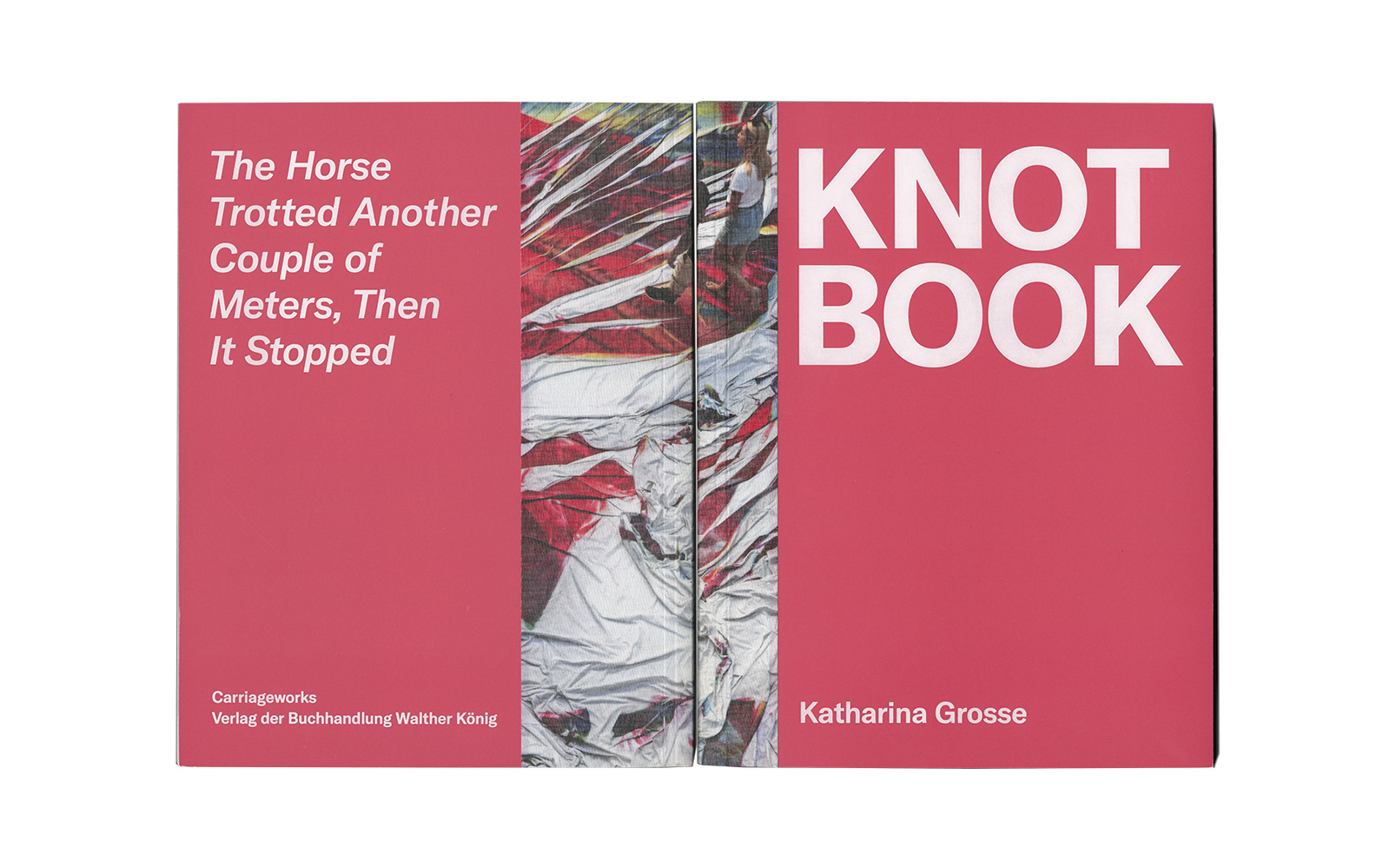 Katharina Grosse &ndash; Knot Book