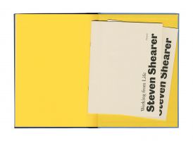 Steven Shearer &ndash; Working from Life
