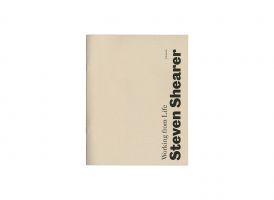 Steven Shearer &ndash; Working from Life