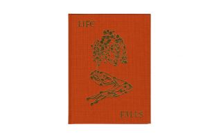 Sam Falls &ndash; After Life