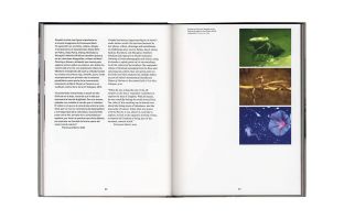 Francesca Mart&iacute; &ndash; Passage And Presence