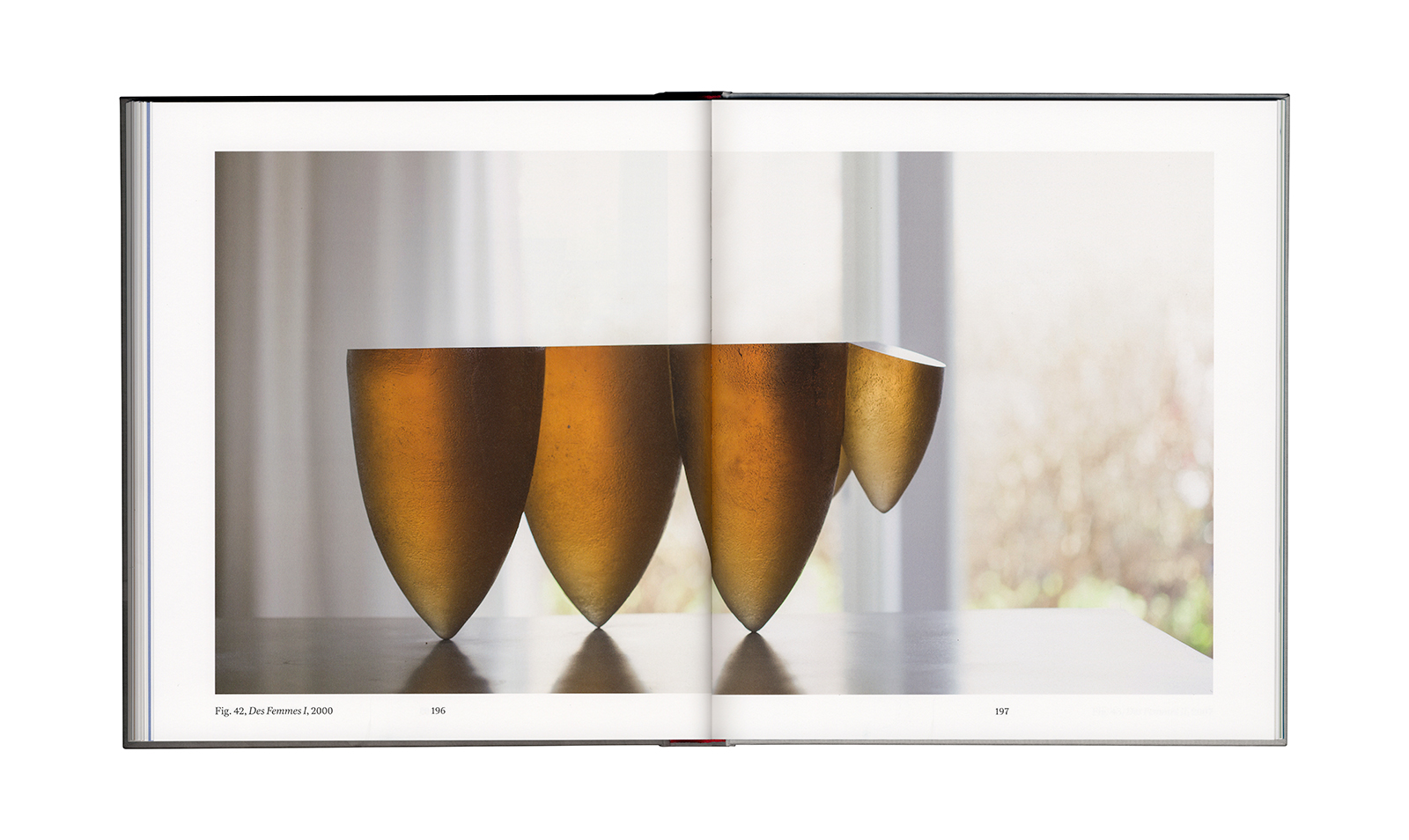 Ann Wolff &ndash; Observations And Reflections