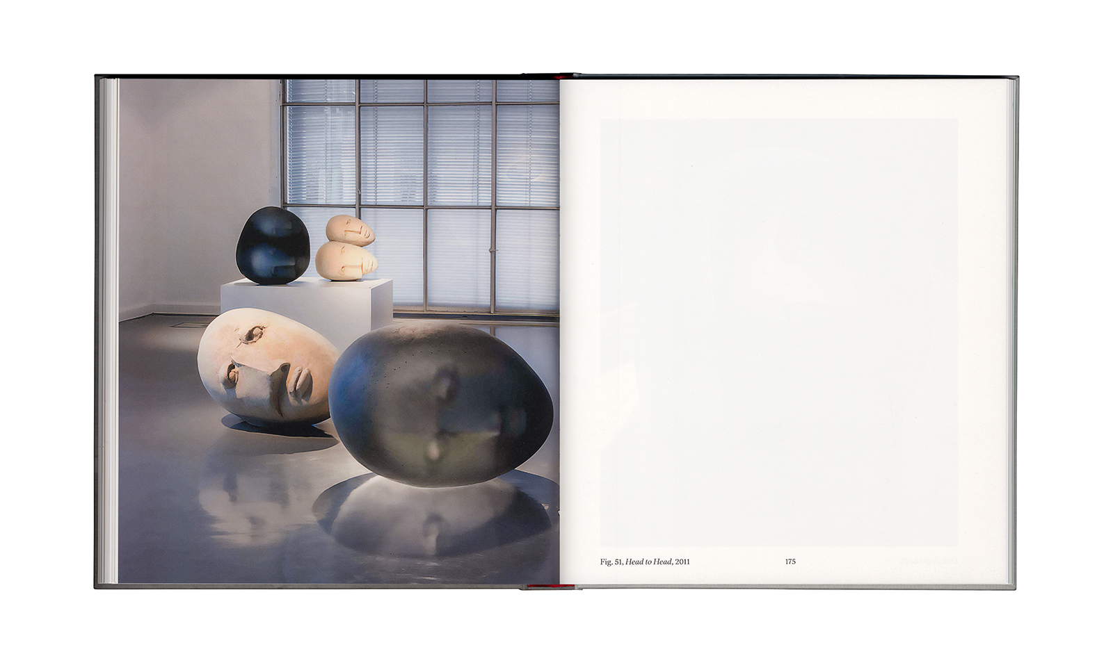 Ann Wolff &ndash; Observations And Reflections