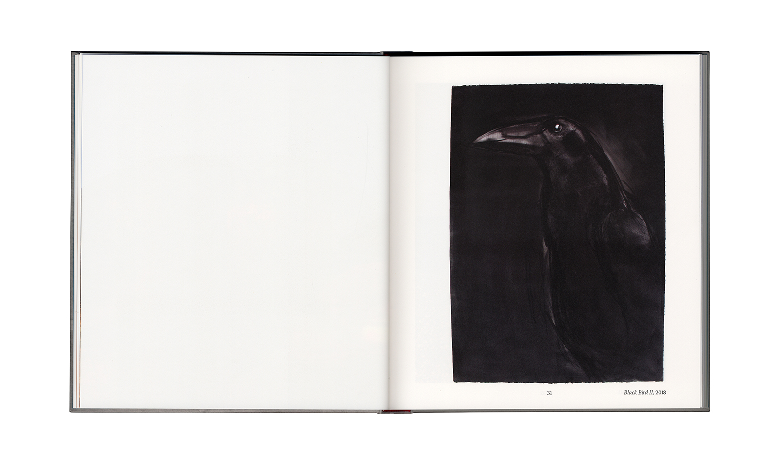 Ann Wolff &ndash; Observations And Reflections