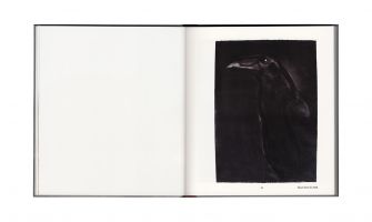Ann Wolff &ndash; Observations And Reflections