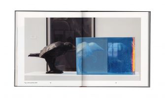Ann Wolff &ndash; Observations And Reflections