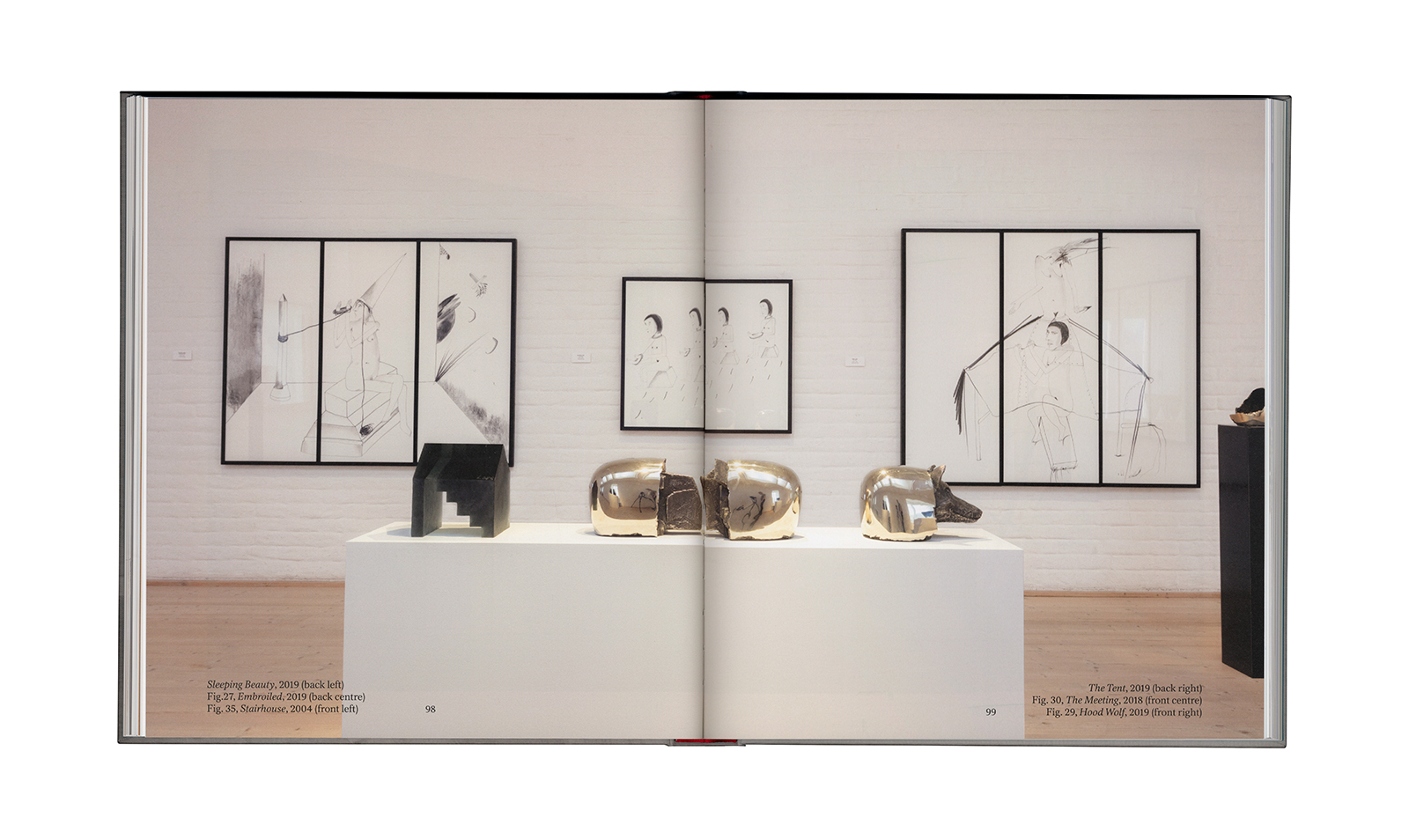 Ann Wolff &ndash; Observations And Reflections