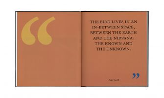 Ann Wolff &ndash; Observations And Reflections